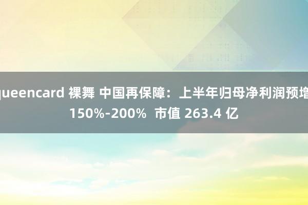 queencard 裸舞 中国再保障：上半年归母净利润预增 150%-200%  市值 263.4 亿