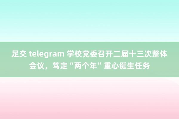 足交 telegram 学校党委召开二届十三次整体会议，笃定“两个年”重心诞生任务