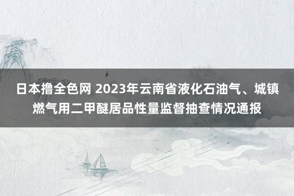 日本撸全色网 2023年云南省液化石油气、城镇燃气用二甲醚居品性量监督抽查情况通报