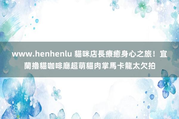 www.henhenlu 貓咪店長療癒身心之旅！宜蘭擼貓咖啡廳　超萌貓肉掌馬卡龍太欠拍