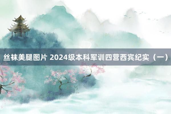 丝袜美腿图片 2024级本科军训四营西宾纪实（一）