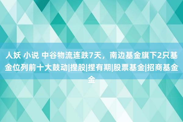 人妖 小说 中谷物流连跌7天，南边基金旗下2只基金位列前十大鼓动|捏股|捏有期|股票基金|招商基金